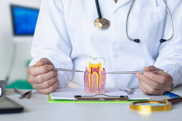 Best Orthodontic Emergency Dentist in Mount Pleasant, SC